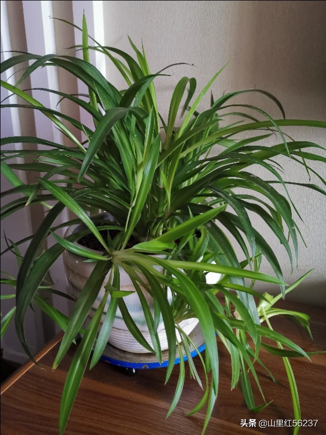 距离我最近的装修公司-最近准备装修，想问下土巴兔齐家网这俩平台哪个更靠谱？