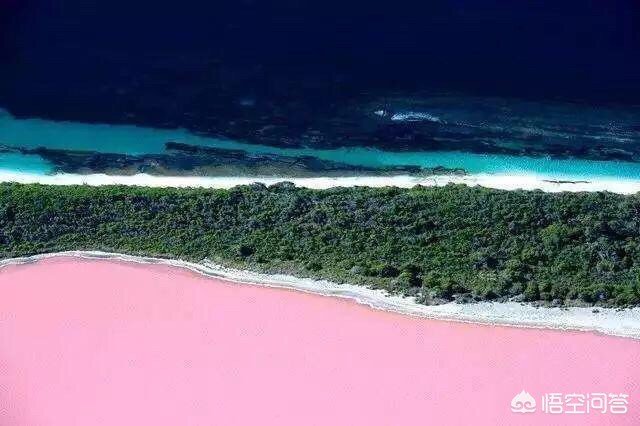 家装设计师哪里学-自学室内装修设计要多久？